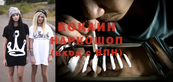 тгк Кукмор