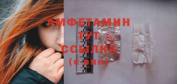 мдпв Кулебаки