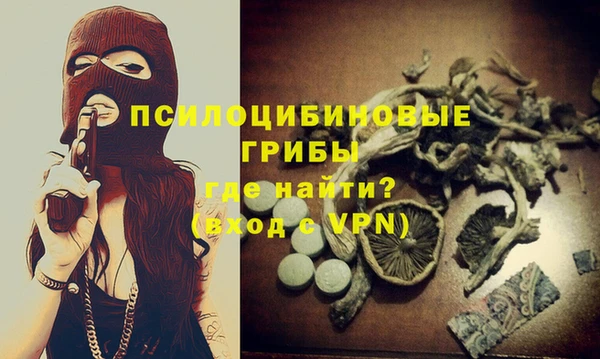 тгк Кукмор