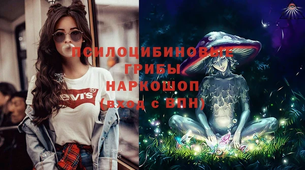 тгк Кукмор