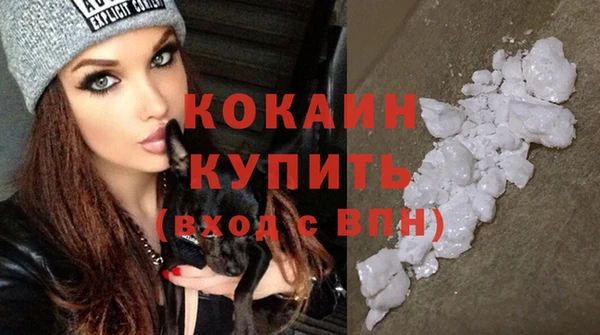 мдпв Кулебаки