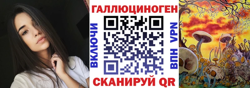 Купить  Туапсе  Галлюциногенные грибы Magic Shrooms 