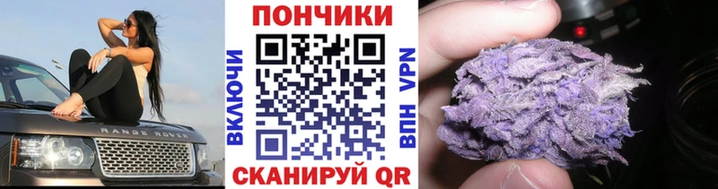 Купить где  Туапсе  Шишки марихуана SATIVA & INDICA 